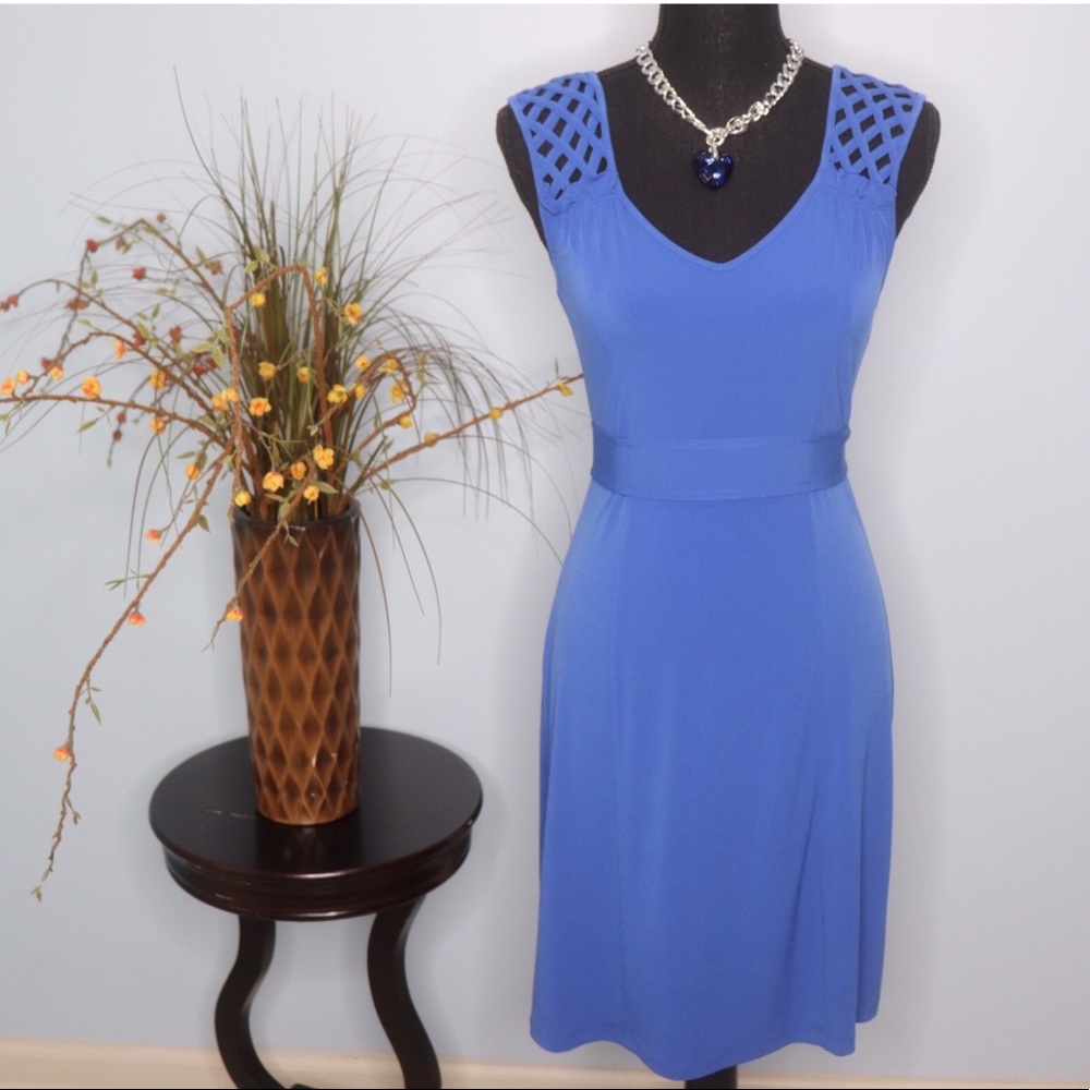 Sleeveless Blue Banana Republic Fit & Flare Dress